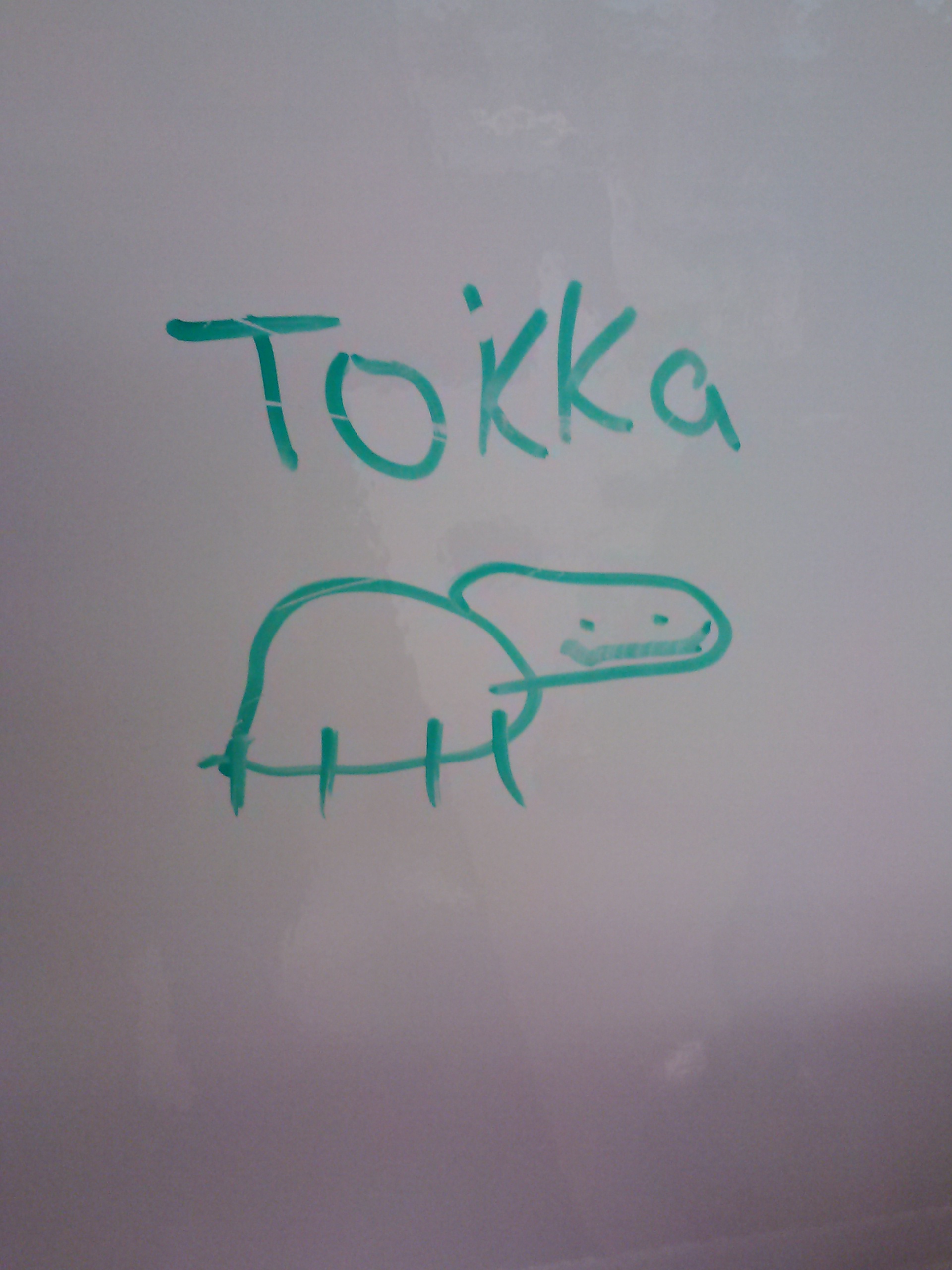 Tokka!