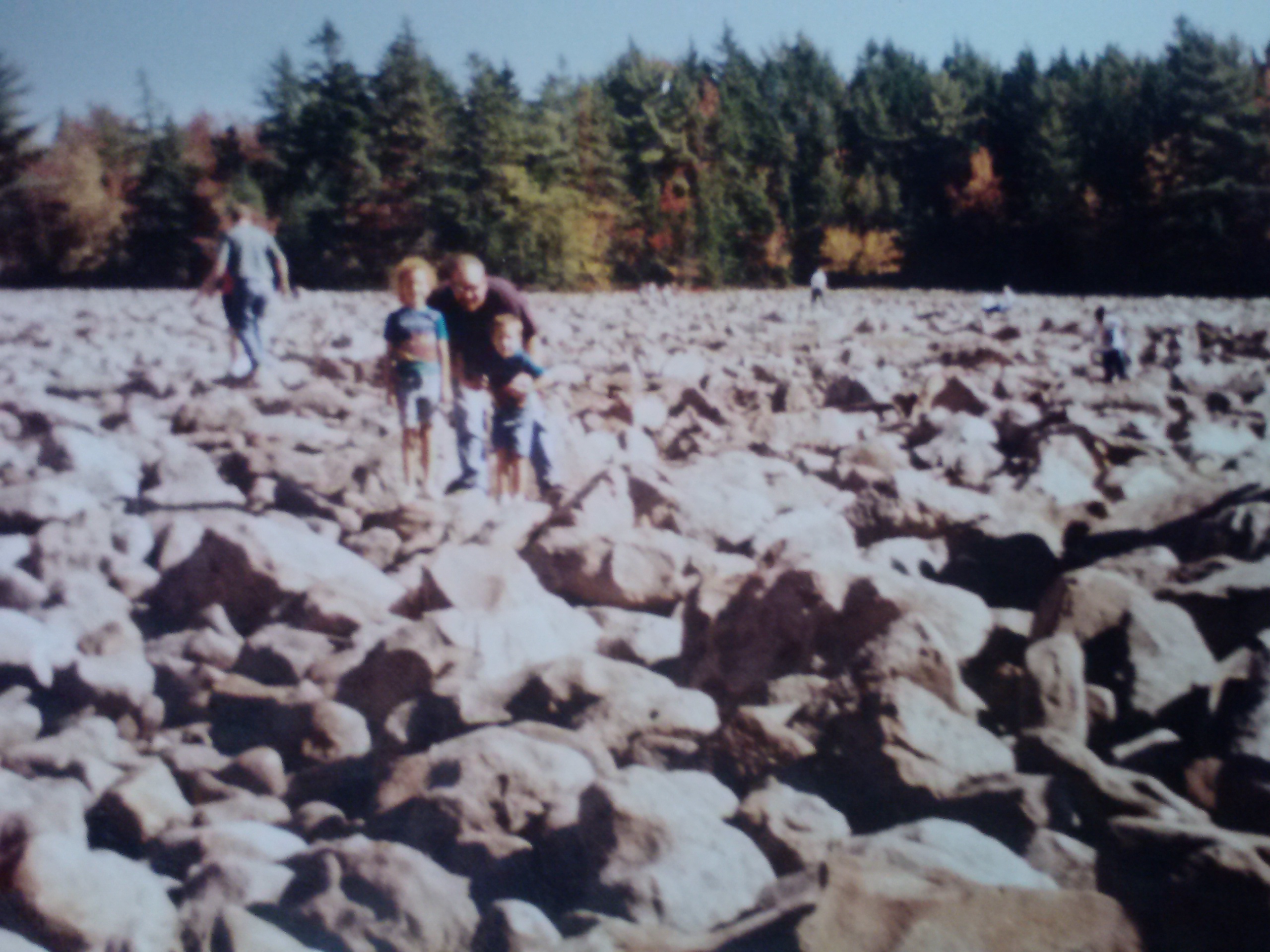 The rocks seem familiar...could this be the Long-Island Beach-Trash Jelly-Fish Island trip?!