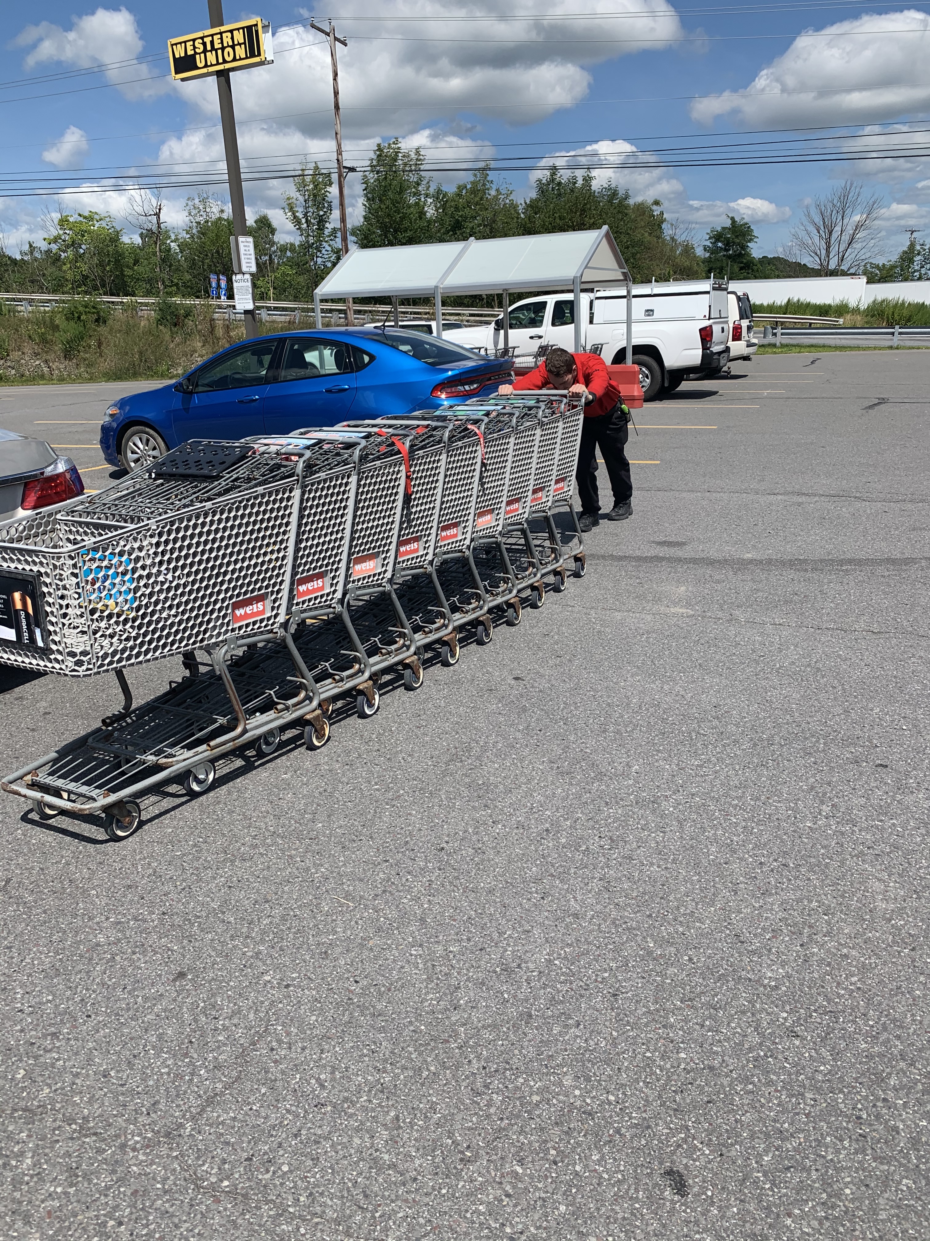 Chase Getting Carts!