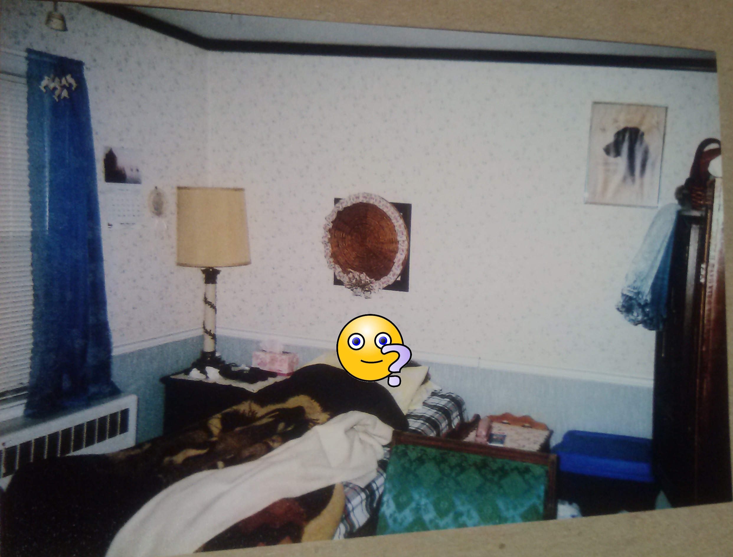 And while we're at it, it being ZOOMING in, let's ZOOM in to the ONLY picture of the INSIDE of my OLD HOUSE that I could find that was TAKEN while I LIVED there (WHAT ROOM is this though?!...hmmmm....?!)!