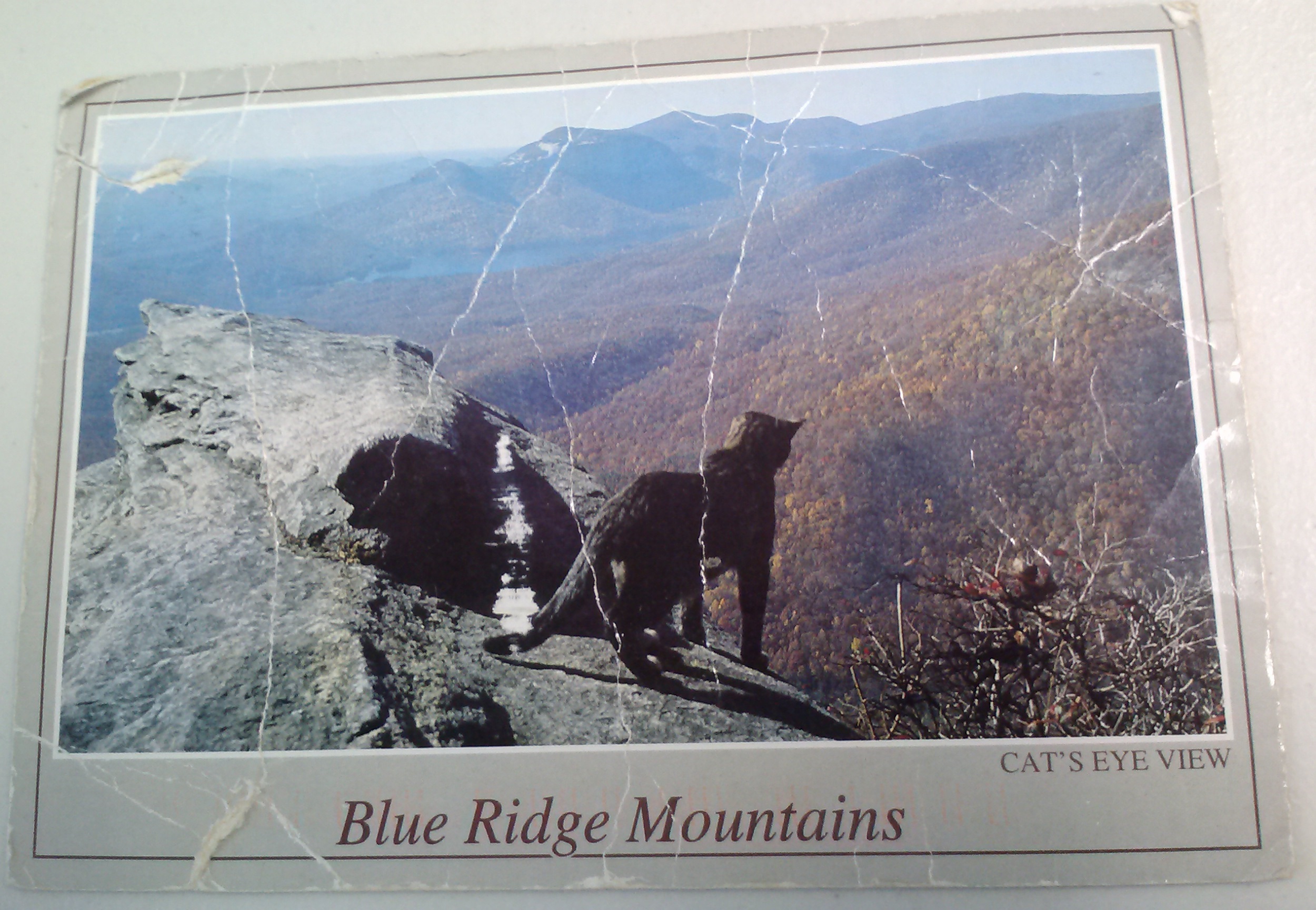 Wow! What a coincidence! What are the odds that the other side would have the BLUE RIDGE Mountains on it...and...oh wait...is that the PUMA I saw...wait...no...well...maybe...hmmm...this is a POCKET-IN-TIME Story for another DAY so we shall revisit this THEN!