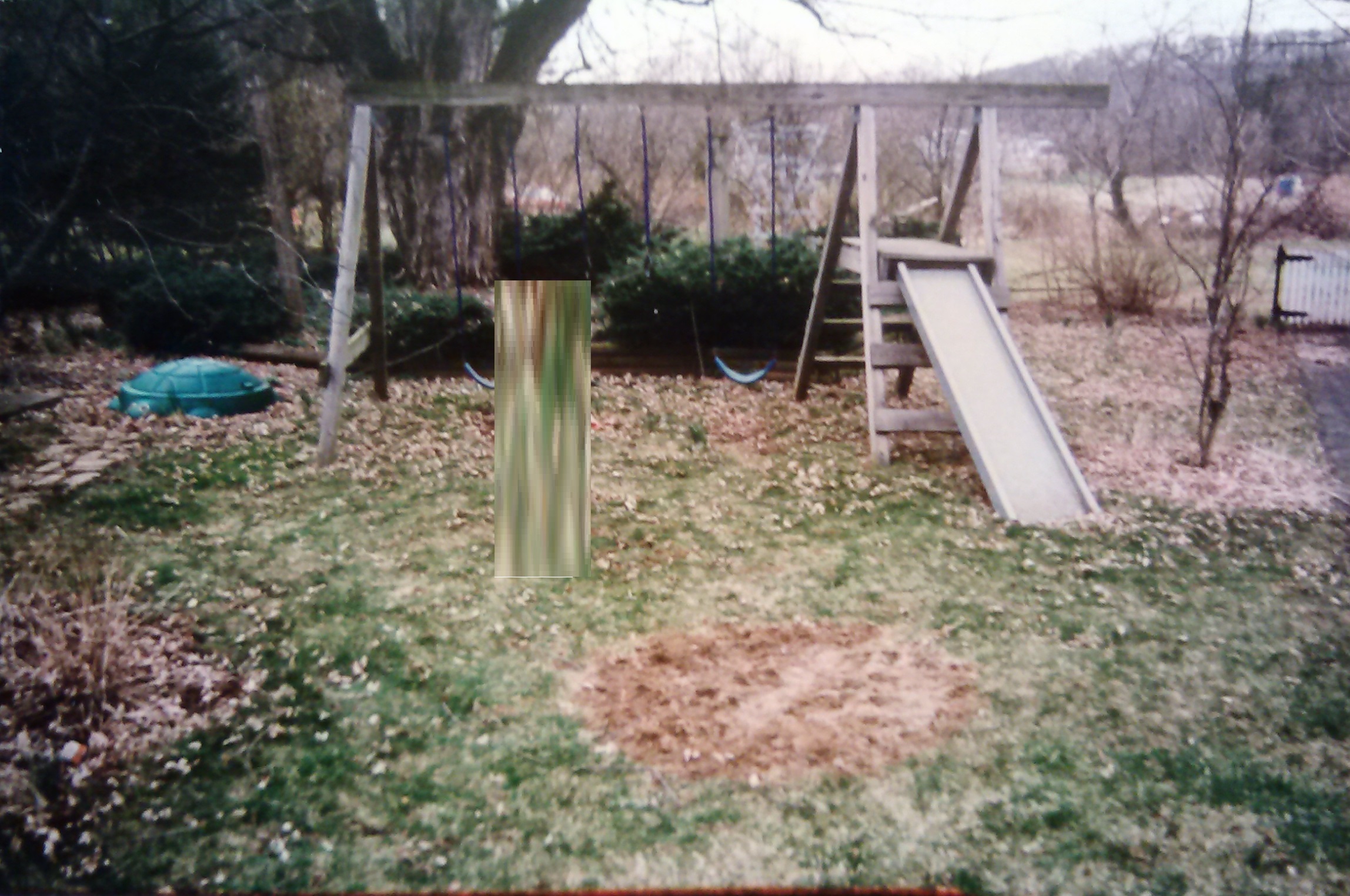 Well I wish I could say that it was a SQUATCH phasing through into this dimension, but it is actually my SISTER! I had to edit her out of these pics since I could not find any of ME in our yard and I wanted these to emphasize the YARD more and her HAIR was DISTRACTING!